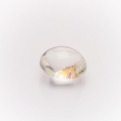 a clear glass object with a shell inside of it