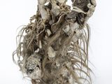 a sculpture of a bird with long hair on it ' s head