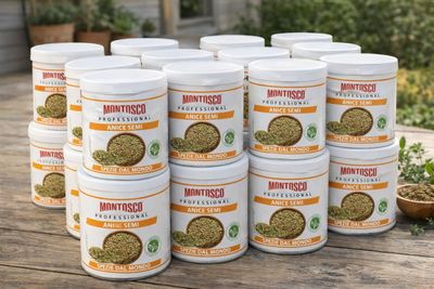 Lot de 36 boîtes de graines d'anis vert aromatique