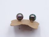 pair of tahiti pearl stud earrings on a piece of cardboard