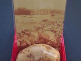 a picture of a rock in a box on a table
