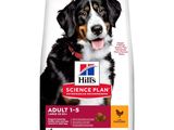 Hill's Science Plan : aliments pour chiens adultes de grande race