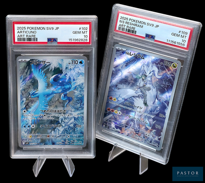 deux cartes Pokémon exposées dans un étui en plastique
