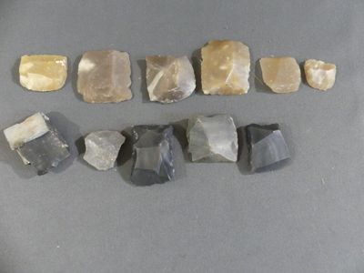several pieces of rock are arranged in a row on a table