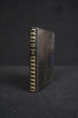 un livre noir avec des reliures dorées sur fond noir