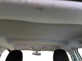 two people sitting in the back seat of a car