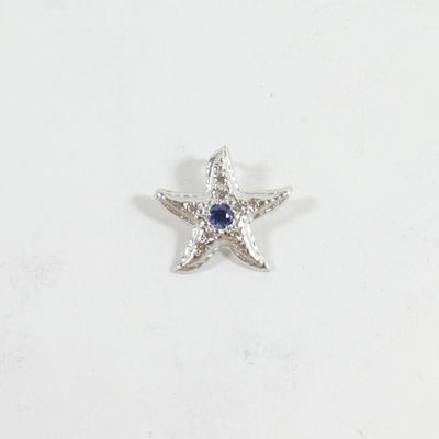 un gros plan d'une étoile de mer sur une surface blanche, avec une pierre bleue