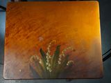 a picture of a table with a vase of flowers on it