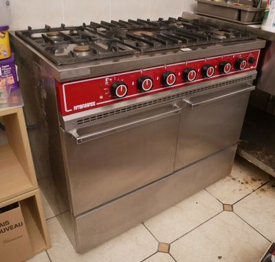 une photo d'une cuisinière professionnelle dans une cuisine