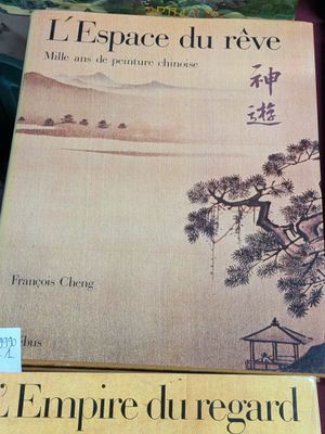 deux livres posés sur une table