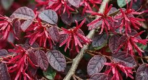 Destockage & Invendus