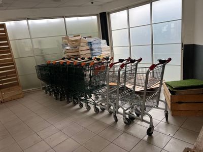 10 caddies de supermarché (dont 3 petits)