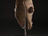 Photo 9/20 du lot