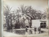 Photo 11/32 du lot