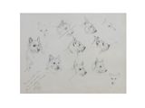 sketches of a dog ' s head and a cat ' s face by person