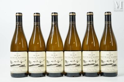 six bouteilles de vin sont alignées sur une table