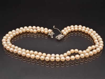 a single strand of pearl necklace and earring set