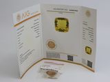 une brochure sur laquelle figure un losange jaune