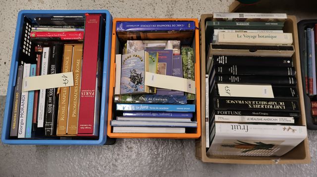 3 caisses de livres d’art dont peinture, régionalisme. 