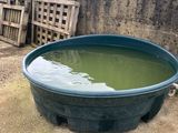 un grand bol vert rempli d'eau posé par terre