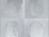four different images of a person ' s face and a person ' s head