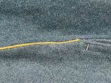 an image of a close up of a piece of clothing