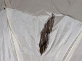 a white umbrella with a hole in the middle of it