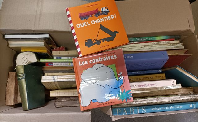 4 cartons de livres : dont petits livres enfants, un pleïade Chat