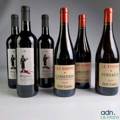 plusieurs bouteilles de vin rouge sont alignées sur une table