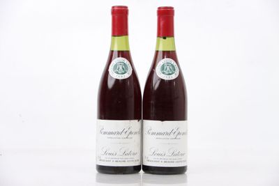 deux bouteilles de vin rouge posées l'une à côté de l'autre sur une surface blanche