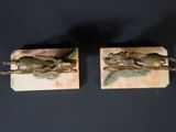 pair of antique bronze frog bookends on marble bases