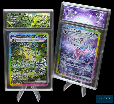 deux types différents de cartes Pokémon dans une vitrine