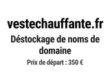 Photo 1/1 du lot