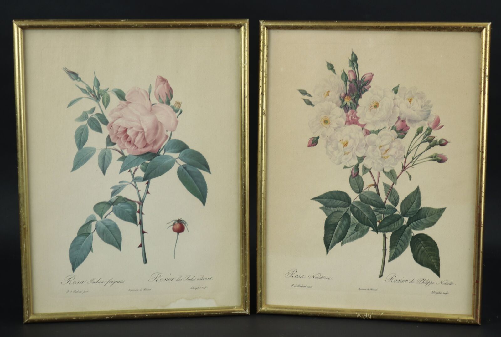 Objets d'art & Curiosités