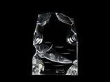 a glass sculpture of a fish on a black background