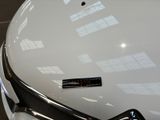 a close up of a car ' s hood with a sticker on it