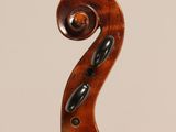 a close up of the back of a violin