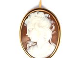 a picture of a woman ' s profile in a cameo broochle