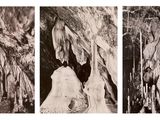 trois photographies en noir et blanc représentant un homme et une femme devant un arbre