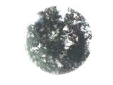une photo d'un arbre recouvert de neige au centre de l'image