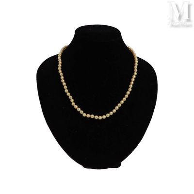 Collier de perles de culture Collier de perles de culture, l…
