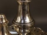 a silver plate with a silver salt and pepper shaker on it