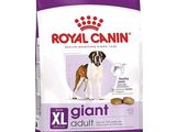royal canin giant giant adult dry dog food