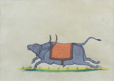 Buffle en course, Inde, fin XIXème - début XXème siècle - Photo 1