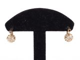 an image of a pair of earrings on a black stand