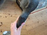a person holding a sculpture of a bird in their hand