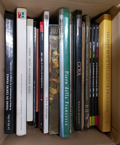 Lot de livres illustrés (art, voyages)