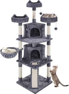 the cat is playing with the cat tree on the white background