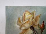 a painting of a yellow rose on the wall