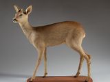 une statue représentant un cerf debout sur un socle en bois